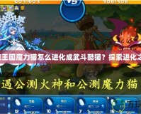 洛克王國魔力貓怎么進化成武斗酷貓？探索進化之路！