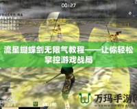 流星蝴蝶劍無限氣教程——讓你輕松掌控游戲戰局
