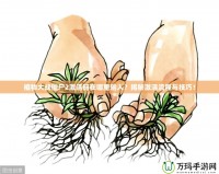植物大戰(zhàn)僵尸2激活碼在哪里輸入？揭秘激活流程與技巧！