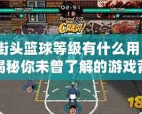 街頭籃球等級有什么用？揭秘你未曾了解的游戲背后奧秘！