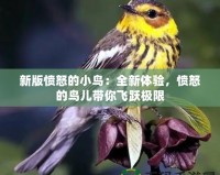 新版憤怒的小鳥：全新體驗(yàn)，憤怒的鳥兒帶你飛躍極限