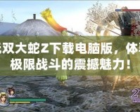 無雙大蛇Z下載電腦版，體驗極限戰(zhàn)斗的震撼魅力！