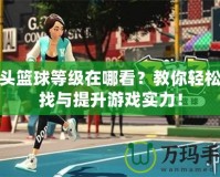 街頭籃球等級在哪看？教你輕松查找與提升游戲實力！