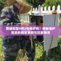 英雄聯盟9月2號維護嗎？揭秘維護背后的精彩更新與玩家期待