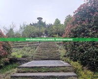 完美世界游戲公司渝北區企業發展情況：創新與文化融合的典范