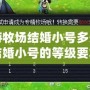 夢幻西游牧場結婚小號多少級？揭秘成功結婚小號的等級要求與技巧