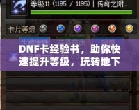 DNF卡經(jīng)驗書，助你快速提升等級，玩轉地下城！