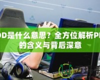 PDD是什么意思？全方位解析PDD的含義與背后深意