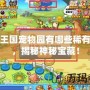 洛克王國寵物園有哪些稀有寵物，揭秘神秘寶藏！