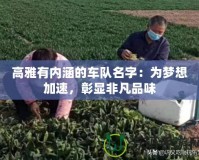 高雅有內涵的車隊名字：為夢想加速，彰顯非凡品味