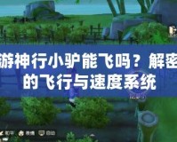 夢(mèng)幻西游神行小驢能飛嗎？解密游戲中的飛行與速度系統(tǒng)