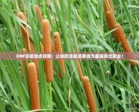 DNF法驅加點攻略：讓你的法驅逆襲成為最強輸出職業！