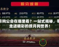 撈月狗公會(huì)在哪里看？一站式揭秘，帶你走進(jìn)精彩的撈月狗世界！