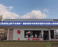 夢(mèng)幻西游雪山栗子長(zhǎng)啥樣？揭秘游戲中的奇妙道具與玩家心動(dòng)的秘密