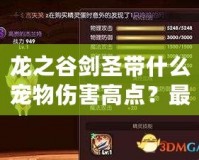 龍之谷劍圣帶什么寵物傷害高點？最強寵物搭配推薦