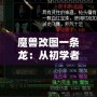 魔獸改圖一條龍：從初學者到高手，打造專屬于你的魔獸世界