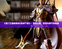 《奧汀三國群英傳2安卓下載》：激戰三國，智慧與勇氣的碰撞！