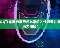 QQ飛車紫色等級怎么來的？快速晉升指南大揭秘！
