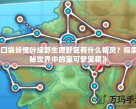 《口袋妖怪葉綠野生原野區(qū)有什么精靈？探索神秘世界中的寶可夢寶藏》