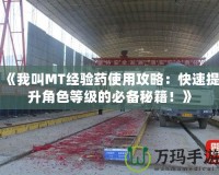 《我叫MT經驗藥使用攻略：快速提升角色等級的必備秘籍！》