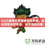 QQ三國每天軍團福利任務表，輕松獲取豐厚獎勵，暢享游戲樂趣！