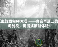 《血戰緬甸MOD》——真實再現二戰緬甸戰役，沉浸式策略體驗！