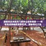 魔獸風(fēng)云決戰(zhàn)天門拜劍山莊在哪里——帶你走進(jìn)神秘的魔獸世界，揭秘奇幻之旅