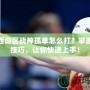 夢(mèng)幻西游區(qū)戰(zhàn)神孤單怎么打？掌握這些技巧，讓你快速上手！