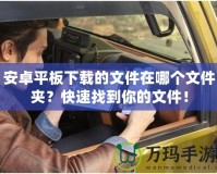 安卓平板下載的文件在哪個文件夾？快速找到你的文件！