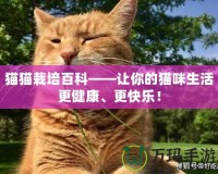 貓貓栽培百科——讓你的貓咪生活更健康、更快樂！