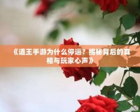 《道王手游為什么停運？揭秘背后的真相與玩家心聲》