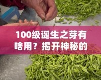 100級(jí)誕生之芽有啥用？揭開(kāi)神秘的面紗，探索無(wú)限可能！