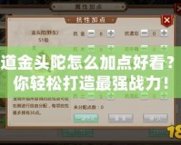 問道金頭陀怎么加點好看？讓你輕松打造最強戰力！