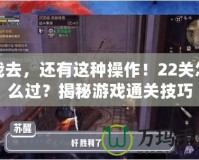 我去，還有這種操作！22關怎么過？揭秘游戲通關技巧