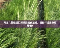 天龍八部逍遙門派技能加點(diǎn)攻略，輕松打造無敵逍遙俠！