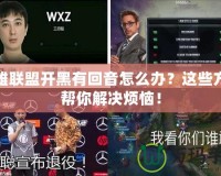 英雄聯盟開黑有回音怎么辦？這些方法幫你解決煩惱！