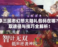 安卓三國(guó)志幻想大陸禮包碼在哪？獲取途徑與技巧全解析！