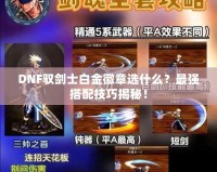 DNF馭劍士白金徽章選什么？最強搭配技巧揭秘！