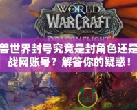魔獸世界封號(hào)究竟是封角色還是封戰(zhàn)網(wǎng)賬號(hào)？解答你的疑惑！
