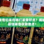 傳奇歸來(lái)在哪打裝備好點(diǎn)？揭秘最佳裝備獲取地點(diǎn)！