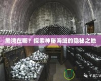 黑灣在哪？探索神秘海域的隱秘之地