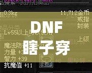 DNF瞎子穿什么甲？讓你秒變無敵的裝備選擇解析！
