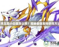 洛克王國小白狐怎么得？揭秘最強寵物獲得方法！