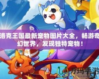 洛克王國最新寵物圖片大全，暢游奇幻世界，發現獨特寵物！