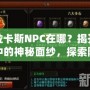 卡拉卡斯NPC在哪？揭開游戲中的神秘面紗，探索隱藏任務與寶藏