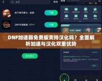 DNF加速器免費版支持漢化嗎？全面解析加速與漢化雙重優勢