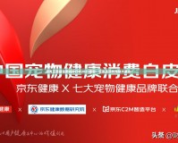 洛克王國(guó)最強(qiáng)寵物排行榜2023最新：征服戰(zhàn)場(chǎng)的寵物大集合！