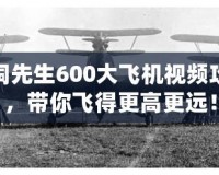 腦洞先生600大飛機視頻攻略，帶你飛得更高更遠！