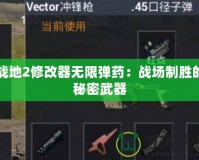 戰地2修改器無限彈藥：戰場制勝的秘密武器