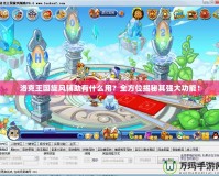 洛克王國旋風輔助有什么用？全方位揭秘其強大功能！